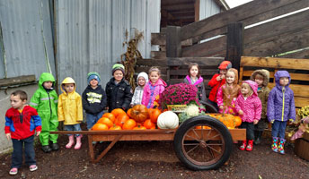 Pumpkin Patch Wagon