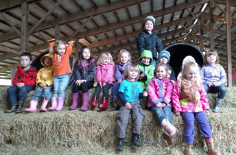 Pumpkin Patch Hay