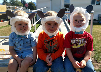 Farm Animals