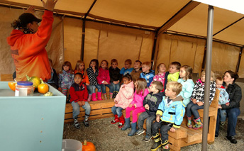 Pumpkin Patch Learning